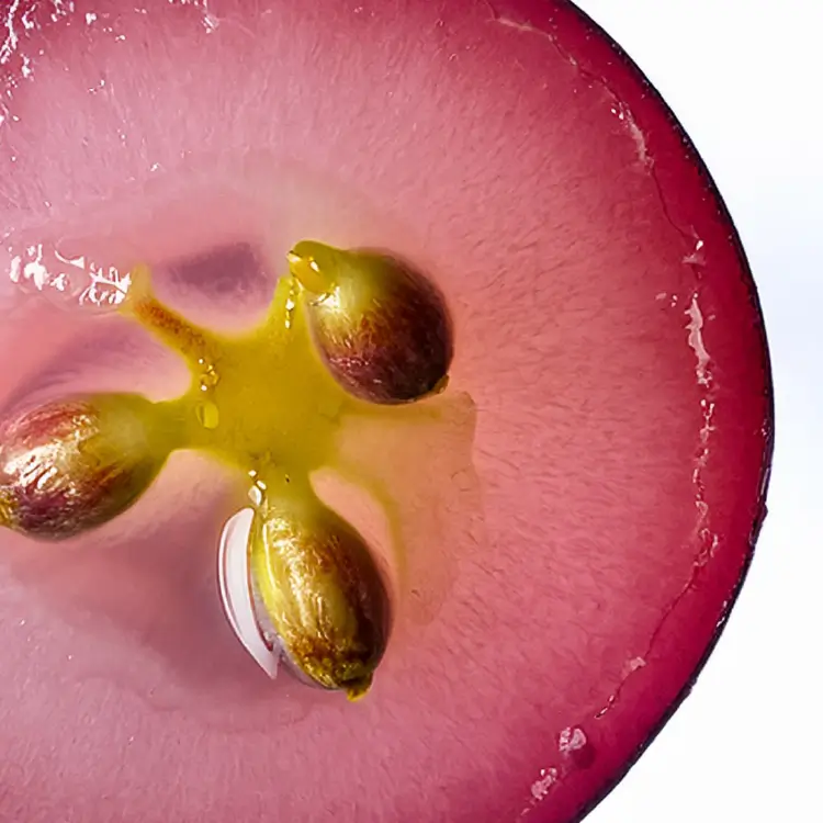 ingredient-grape seed oil