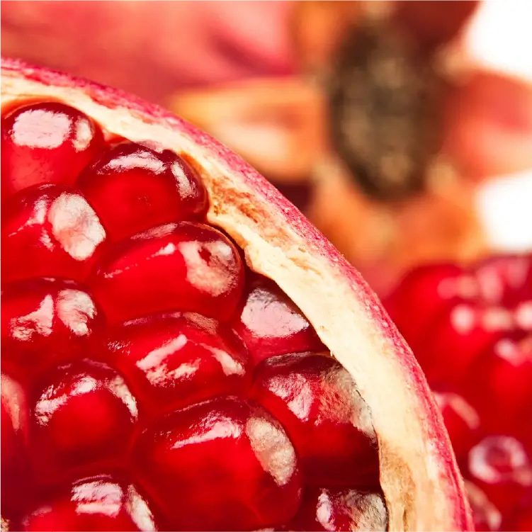 ingredient pomegranate skin